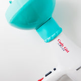 Step 4: Curl Dryer Anti Frizz Ionic Hair Dryer